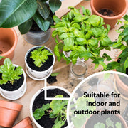 Vitamin Plant Solution