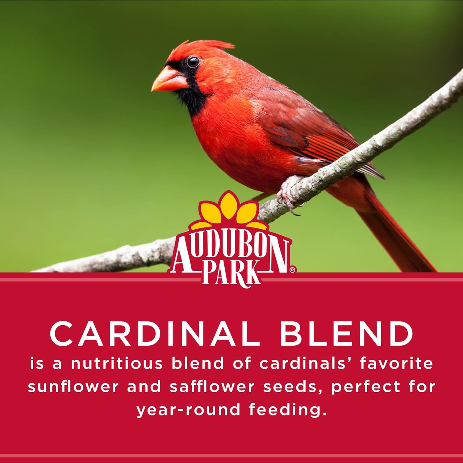 Cardinal Bird Seed