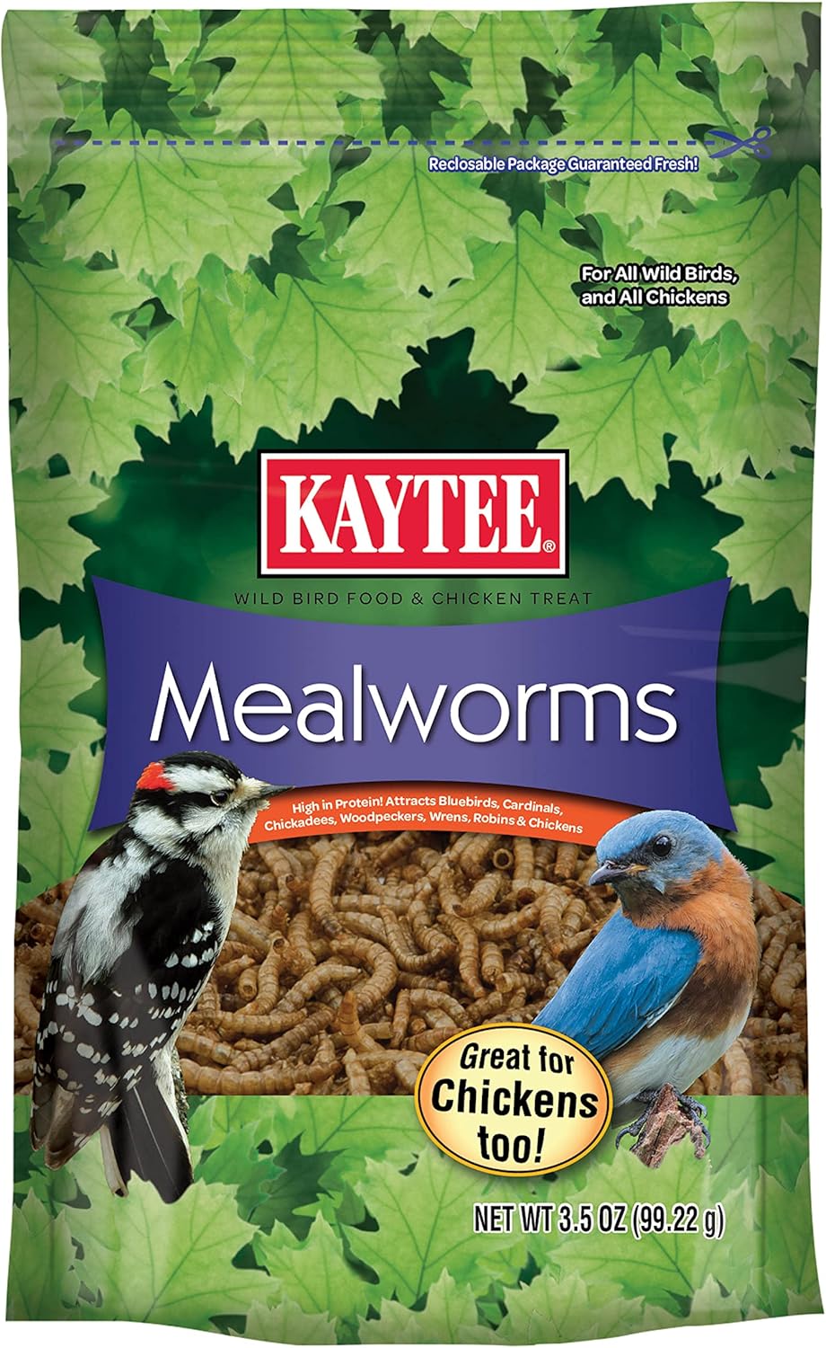 Dried Mealworms
