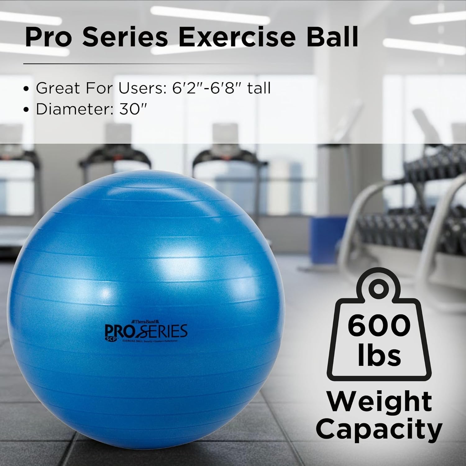 Exercise & Stability Ball for Balance, Core Strength & Rehabilitation