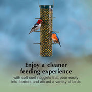 Bluebird Suet Nuggets