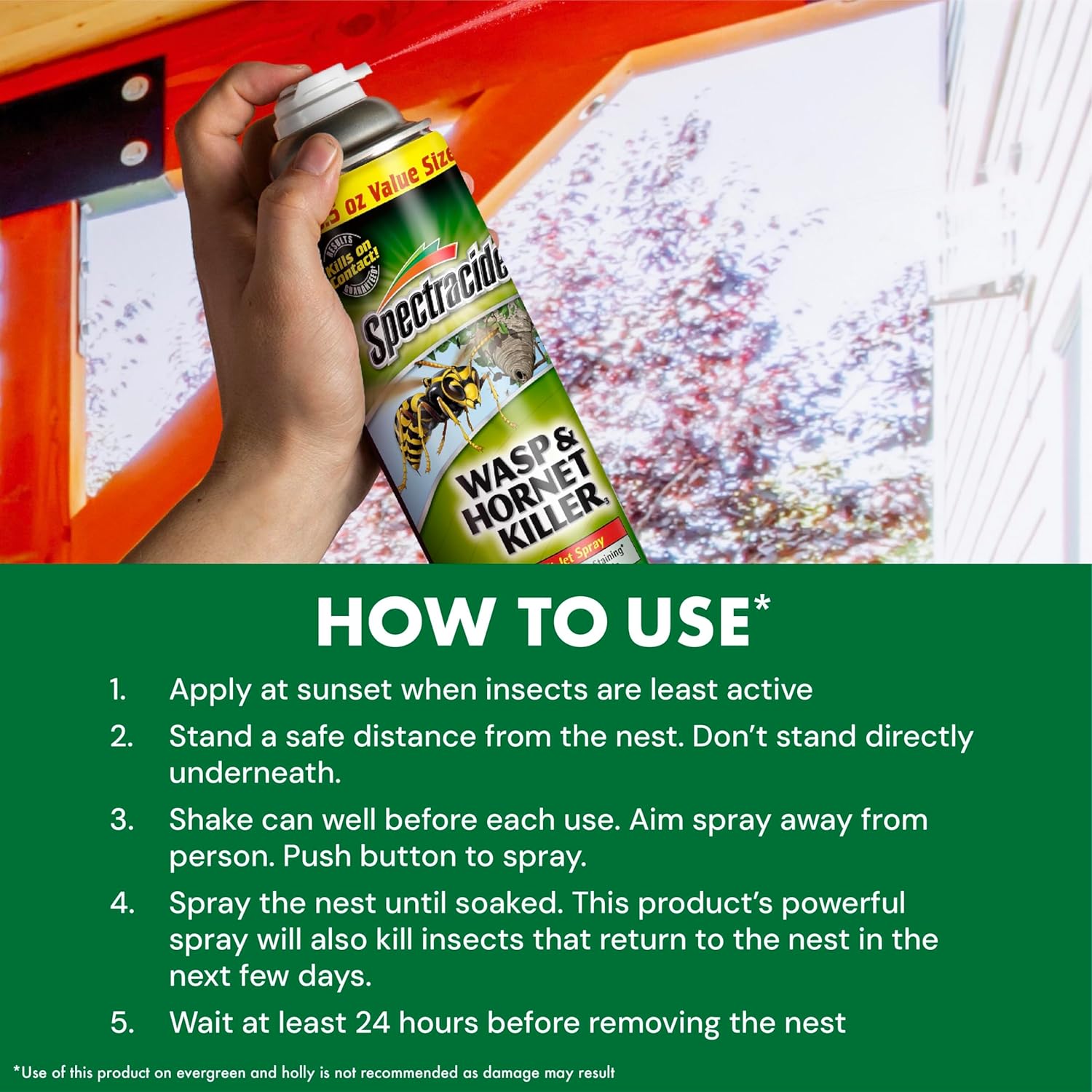 Wasp & Hornet Killer
