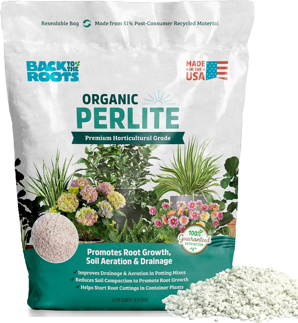Orchid Plant Food