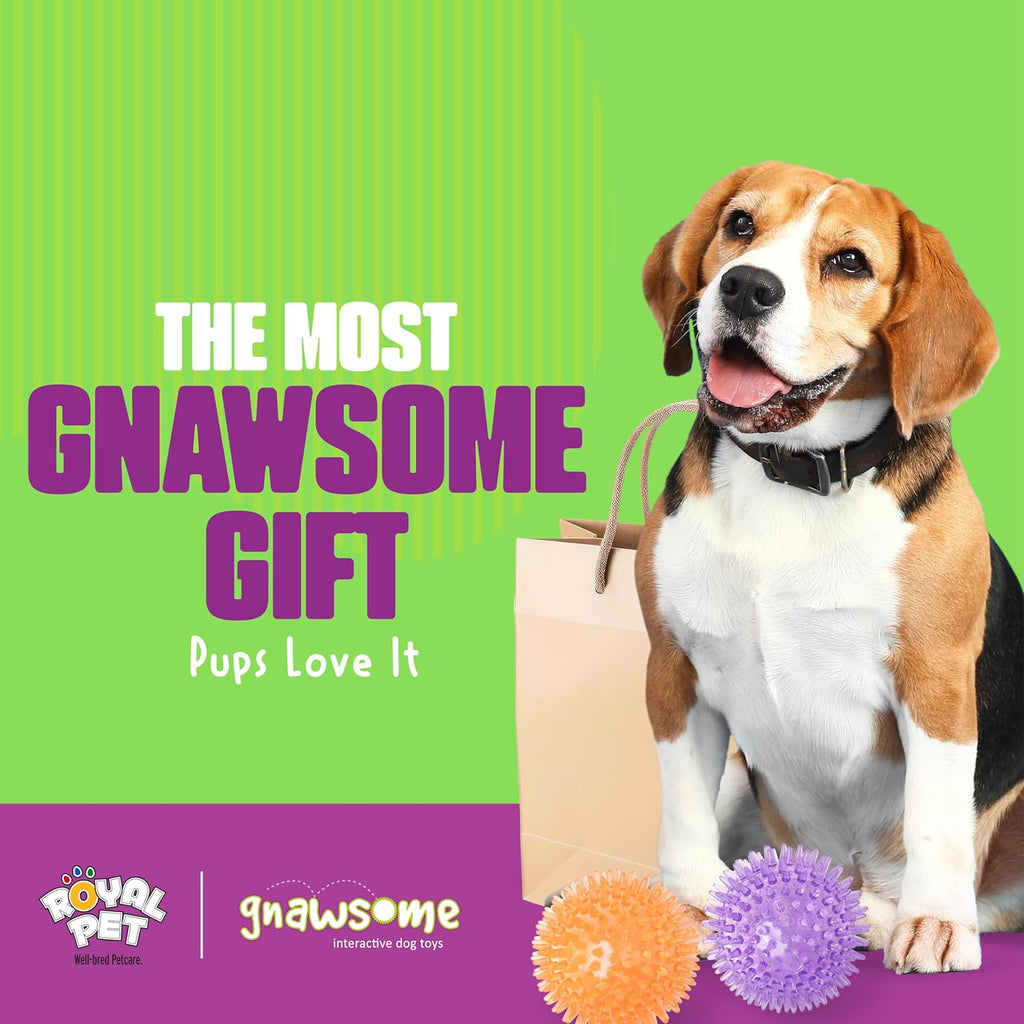 Interactive Squeaker Ball For Dogs