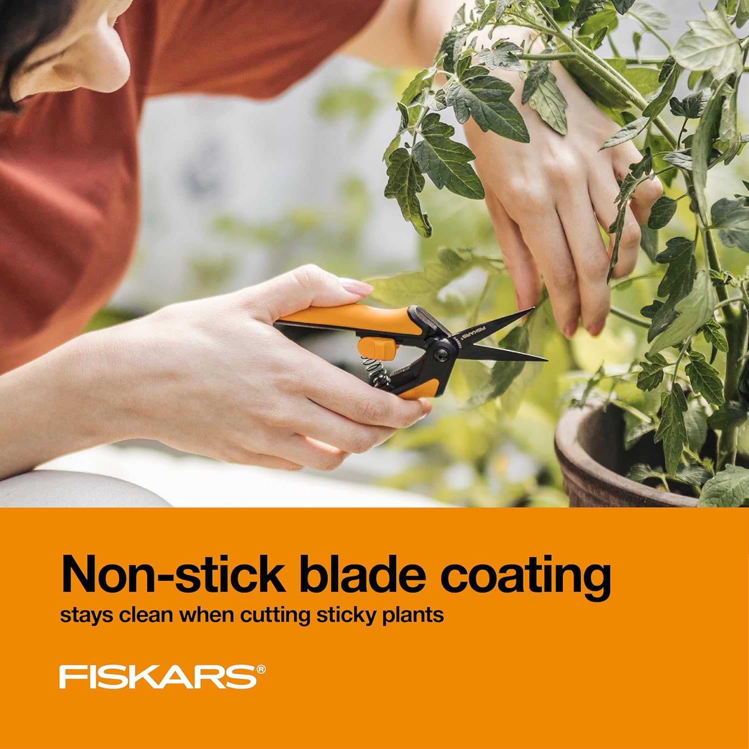 Pruning Snips Set