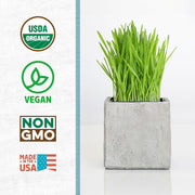 Organic Wheatgrass Seeds