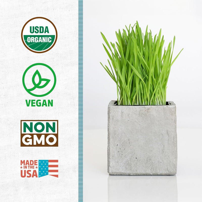 Organic Wheatgrass Seeds