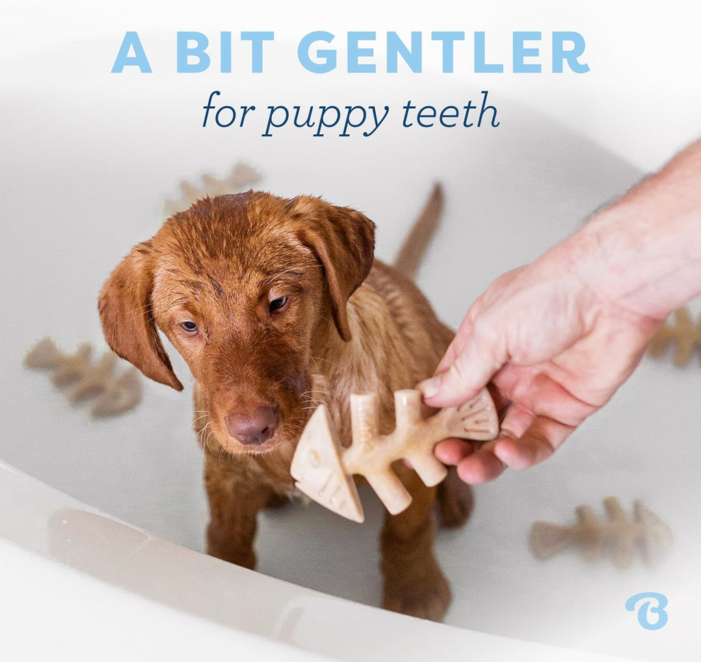 Puppy Fishbone Chew Toy for Gentle Chewers
