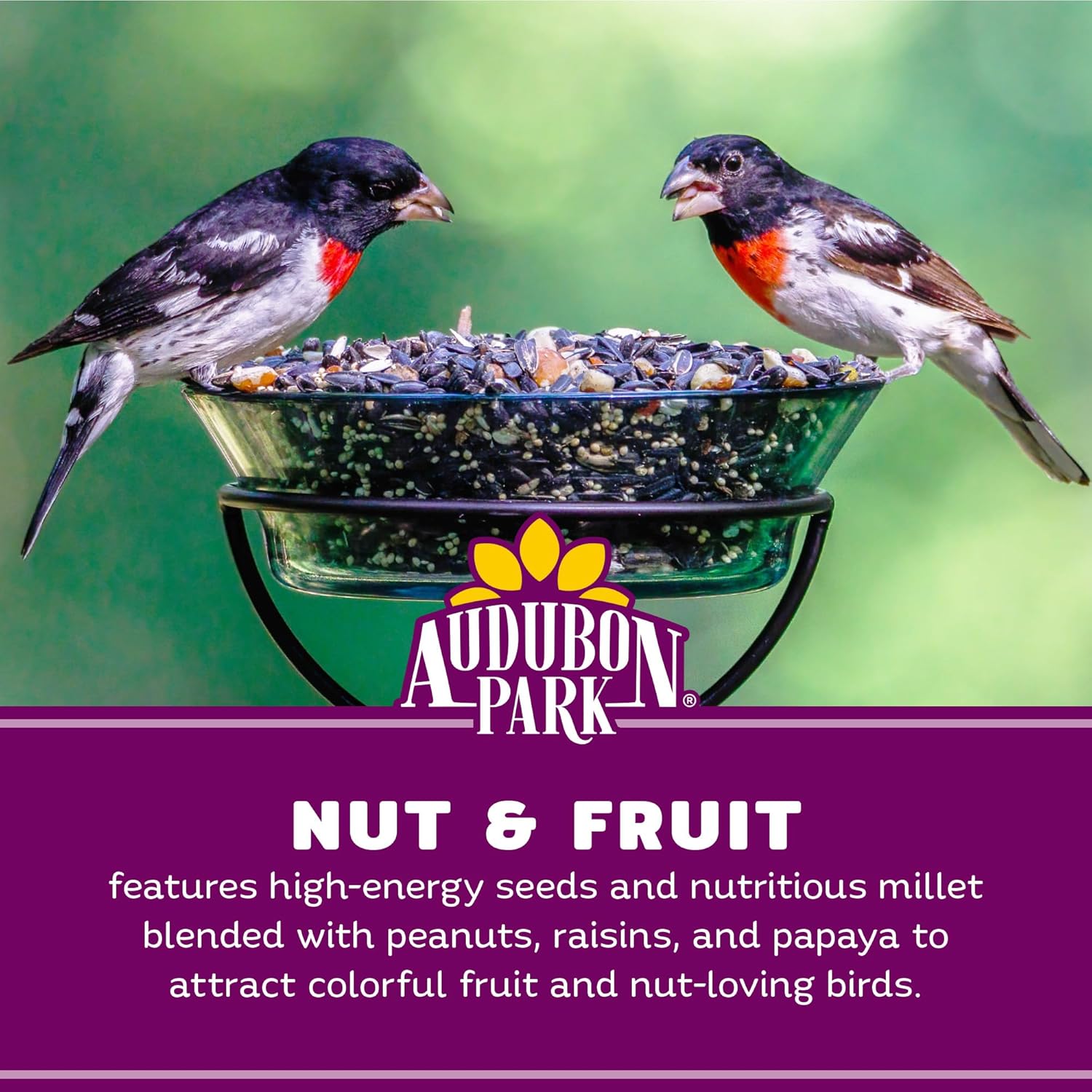Nut & Fruit Blend
