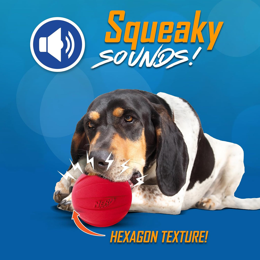 Squeaky Fetch Ball Dog Toy Set – 2 Pack