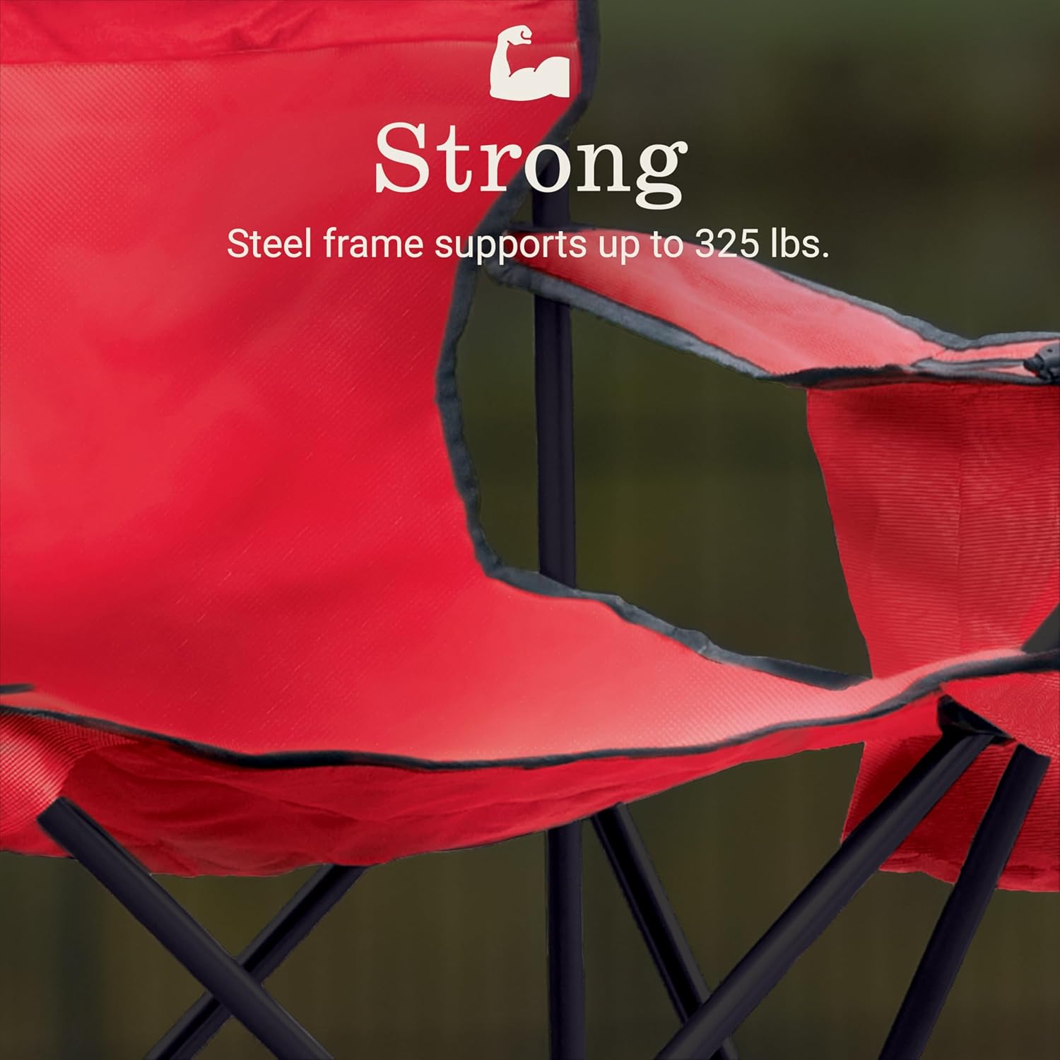 Coleman Portable Camping Chair with 4-Can Cooler