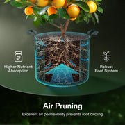 Fabric Grow Bags