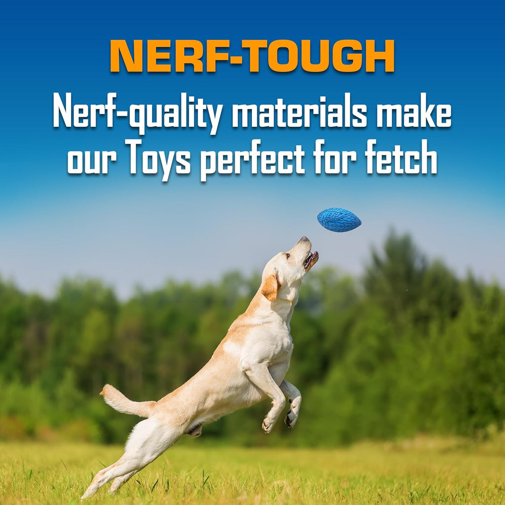 Interactive Dog Toy Gift Set