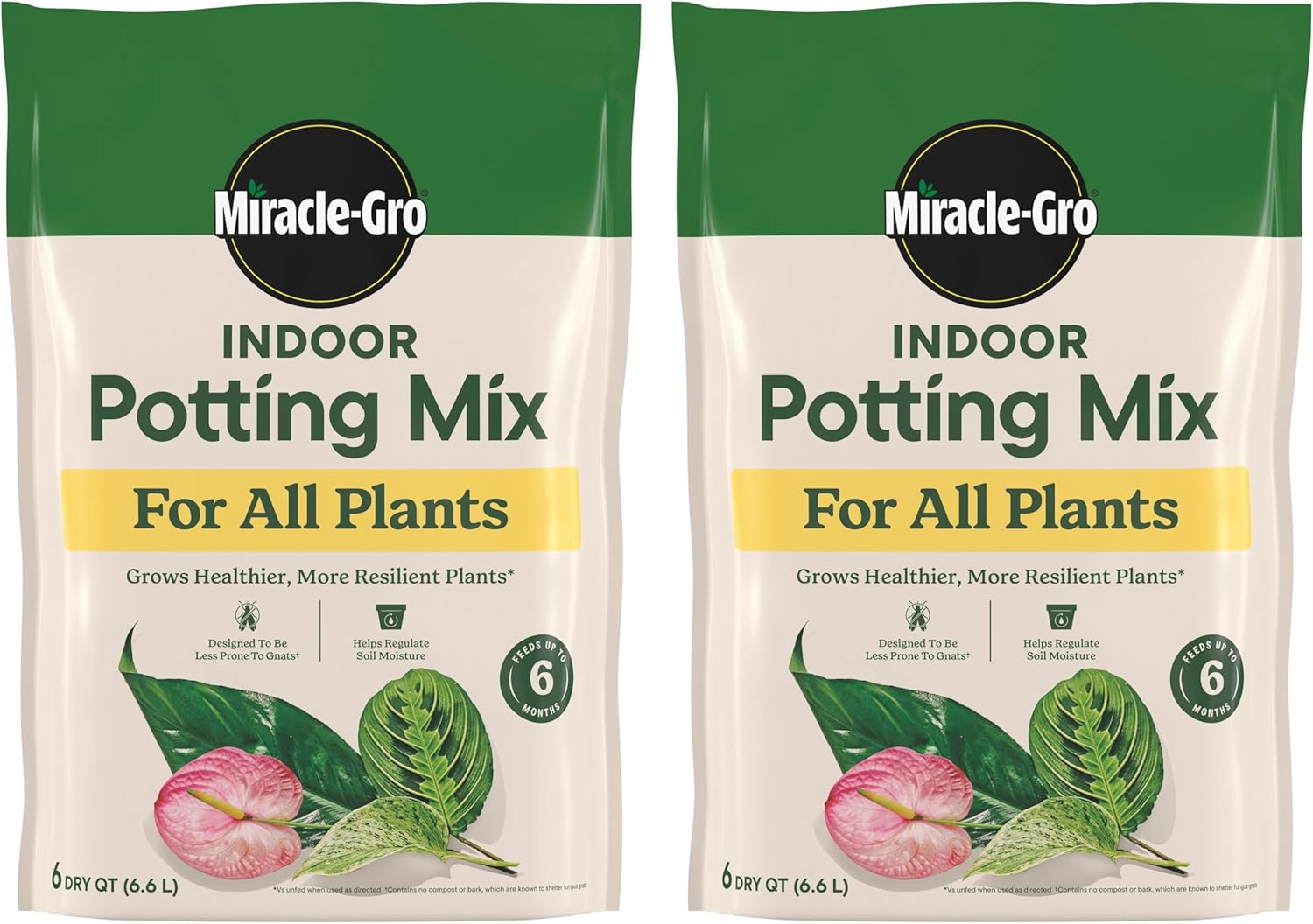Indoor Potting Mix