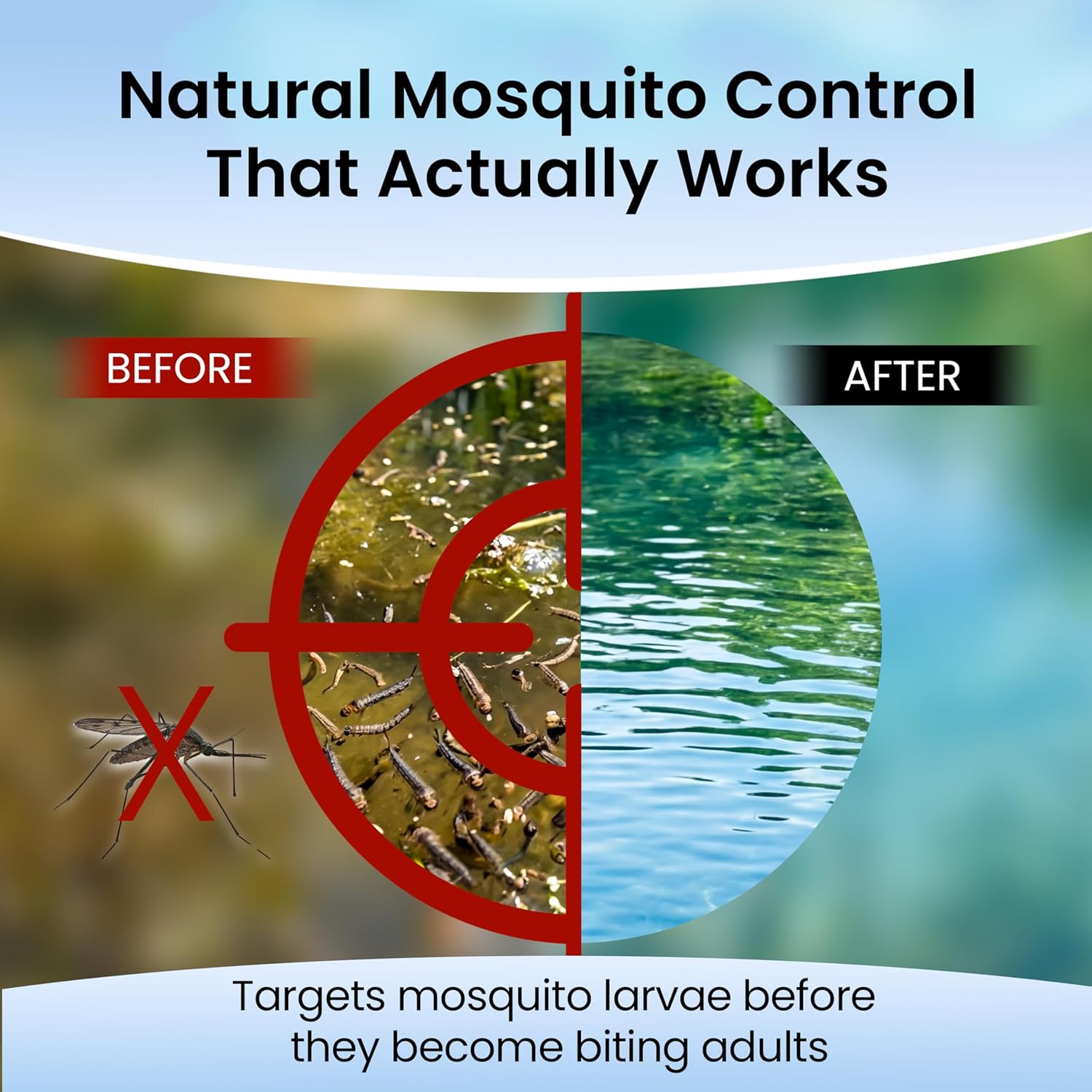 Biological Mosquito Control