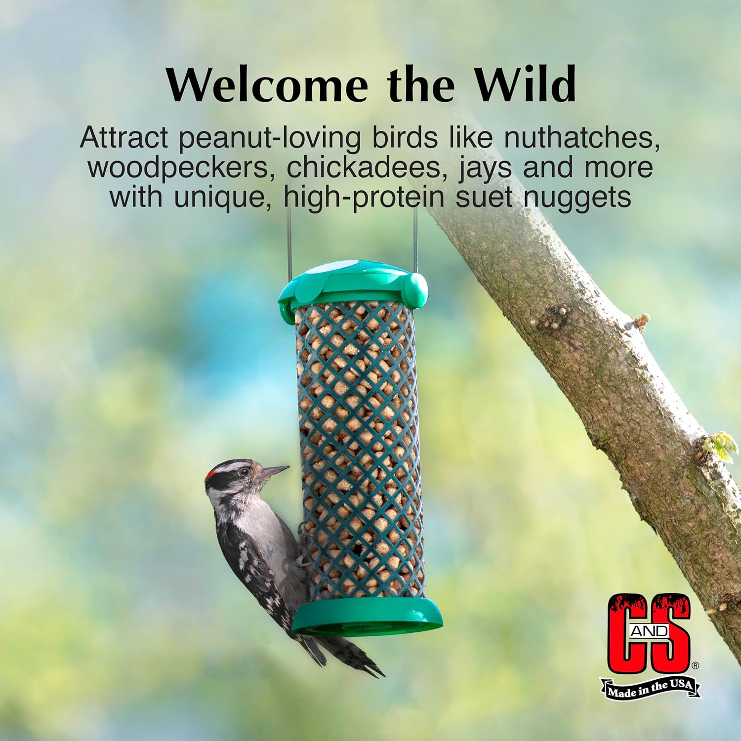 C&S Peanut Suet Nuggets 27 oz
