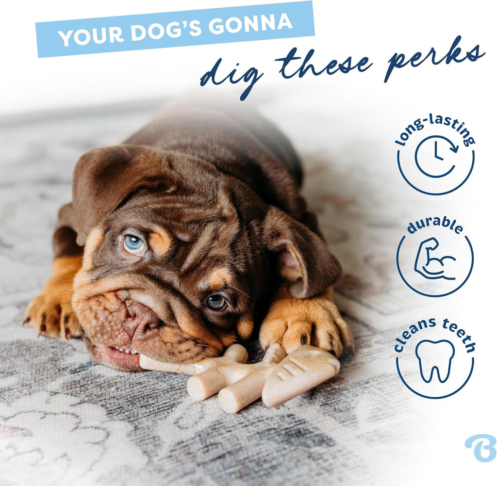 Puppy Fishbone Chew Toy for Gentle Chewers