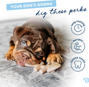 Puppy Fishbone Chew Toy for Gentle Chewers