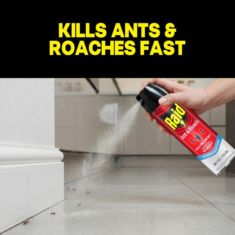 Mouse Bait Station