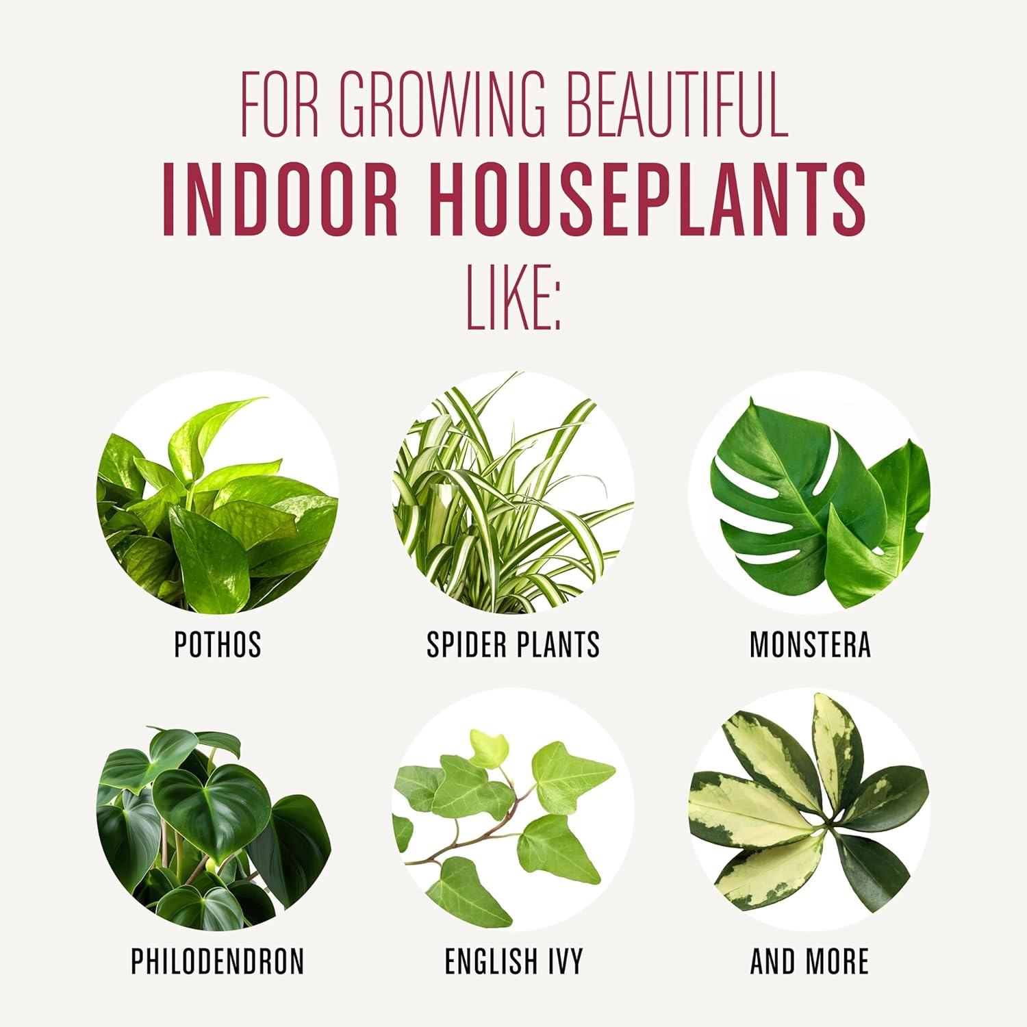 Indoor Potting Soil Mix