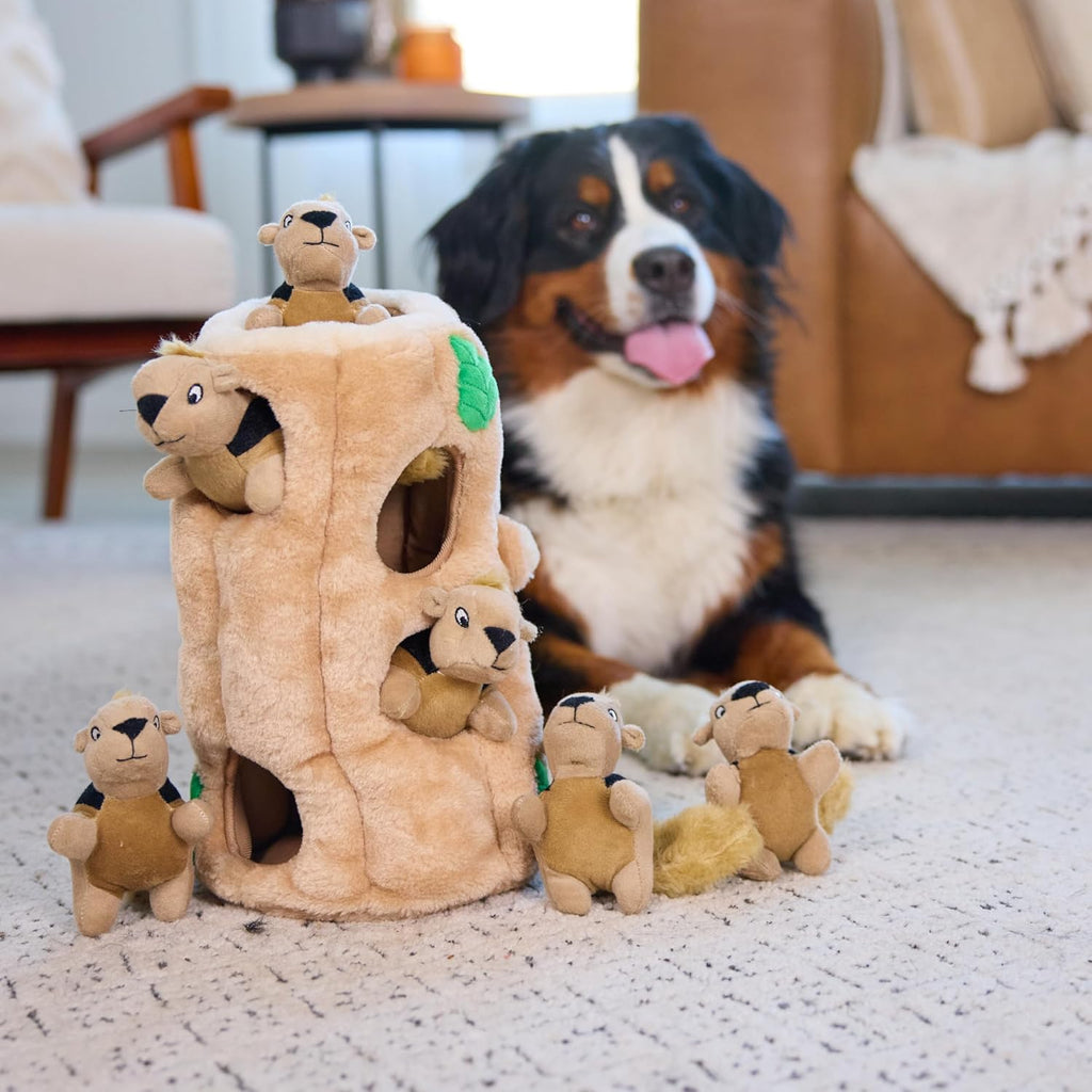 Hide And Seek Dog Toy