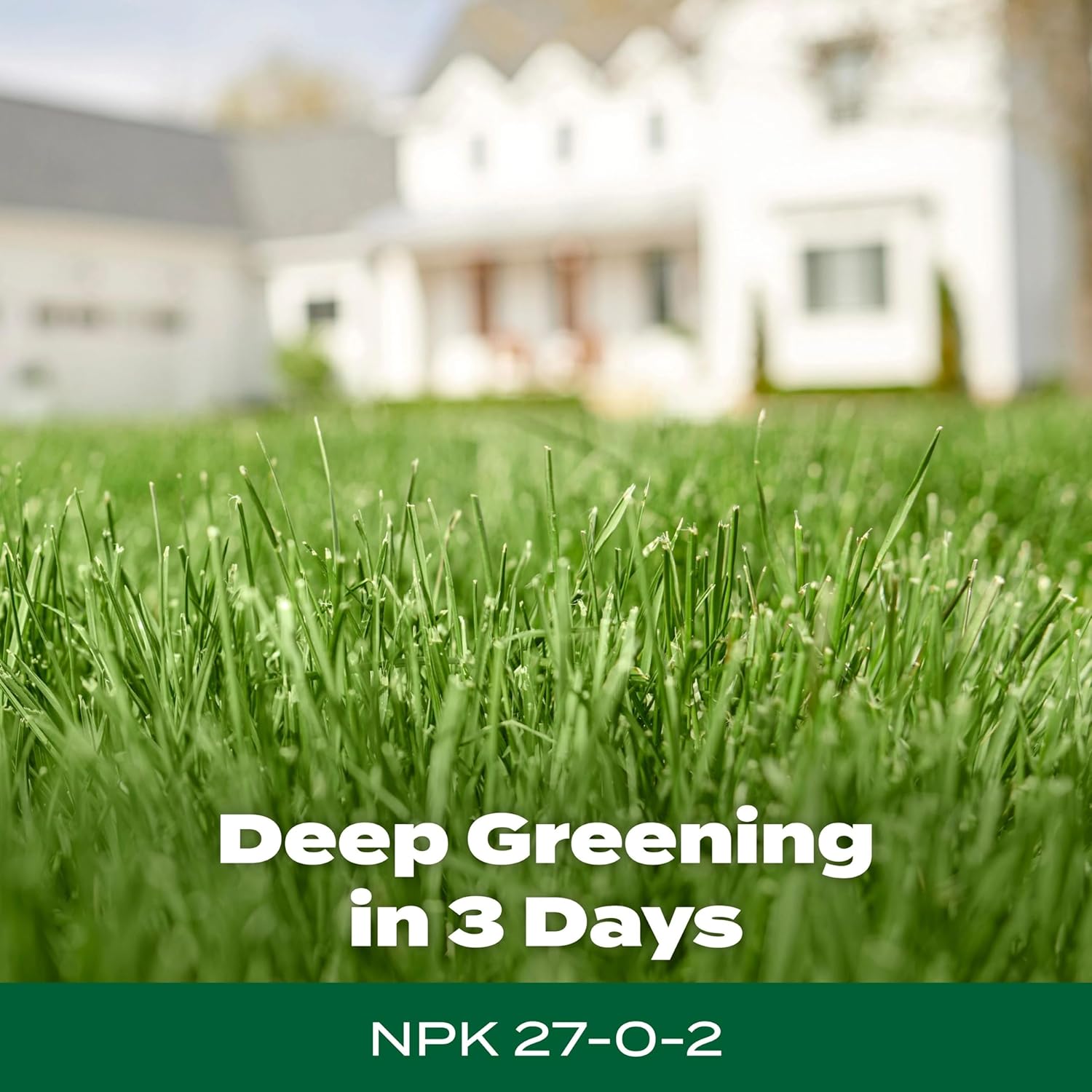 Green Lawn Fertilizer