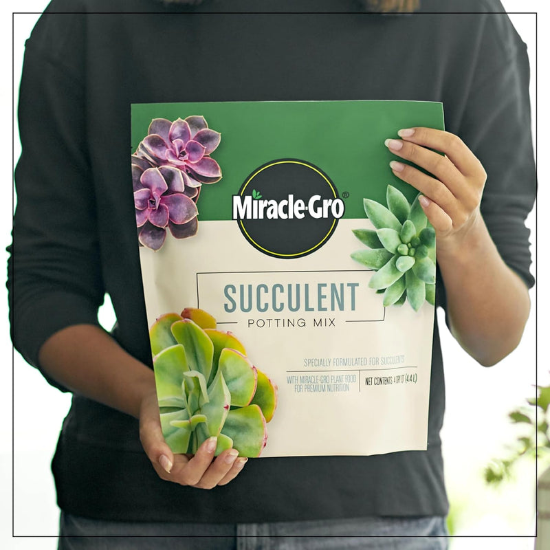 Succulent Potting Mix