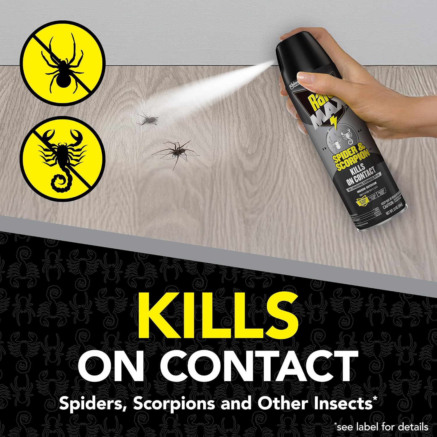 Spider & Scorpion Spray
