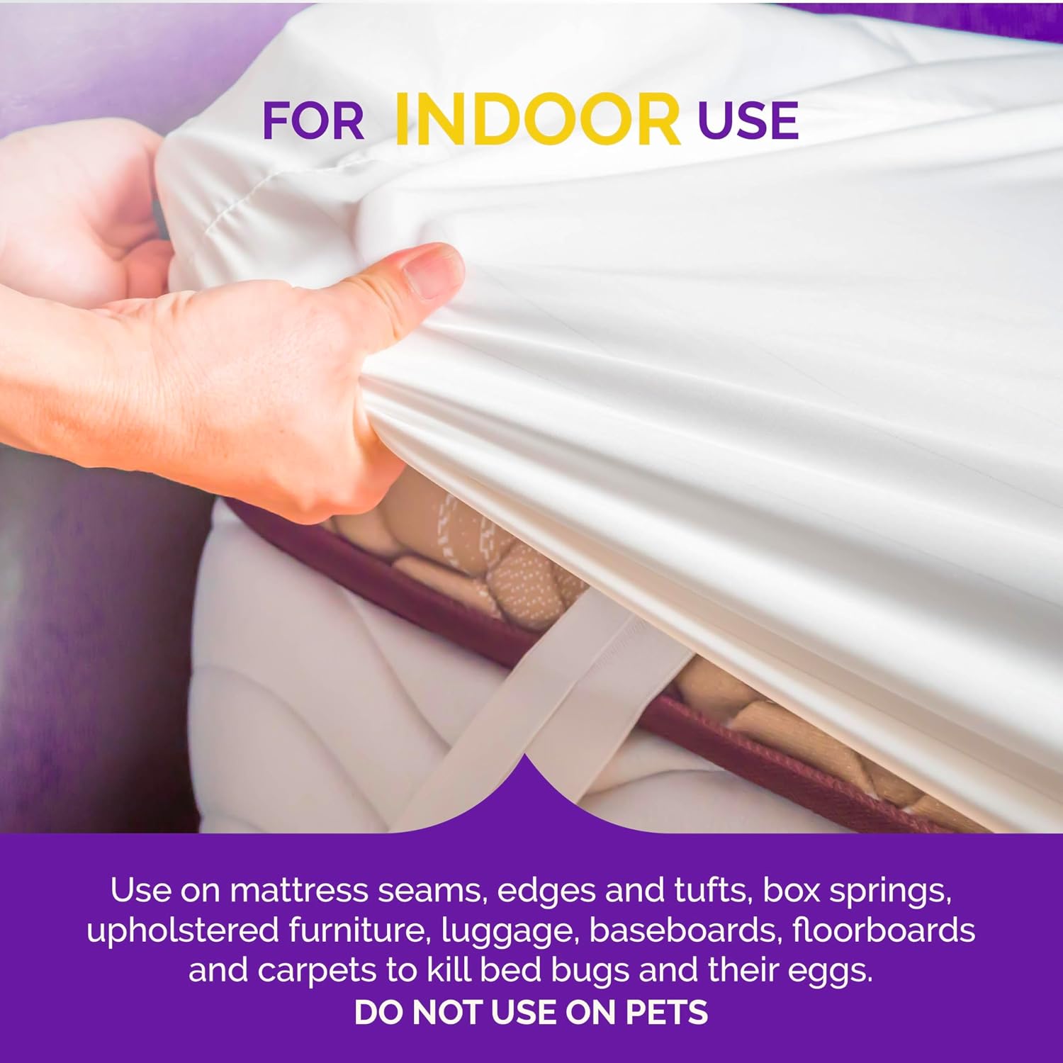 Bed Bug Killer Spray