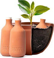 Self-Watering Olla Pots