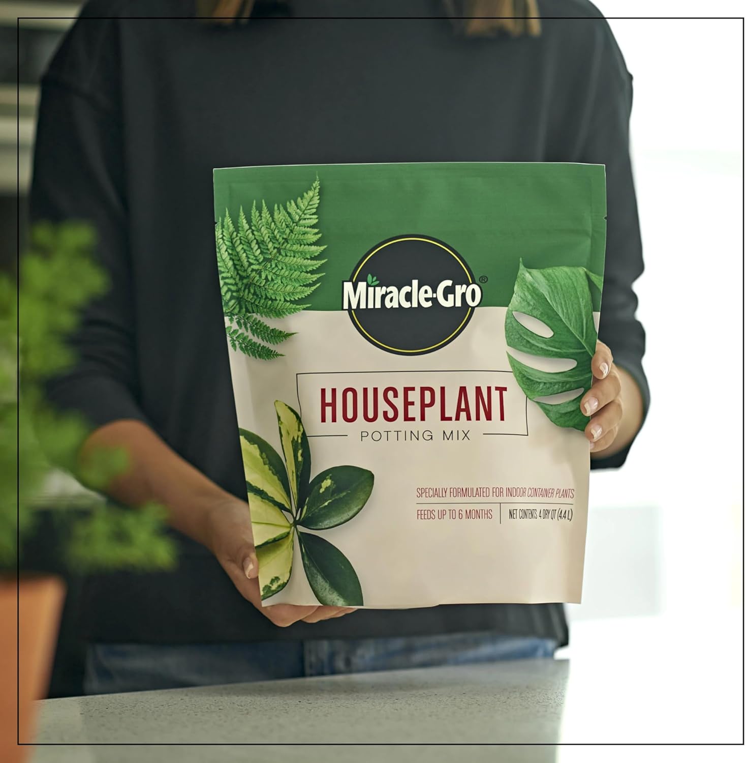 Indoor Potting Soil Mix