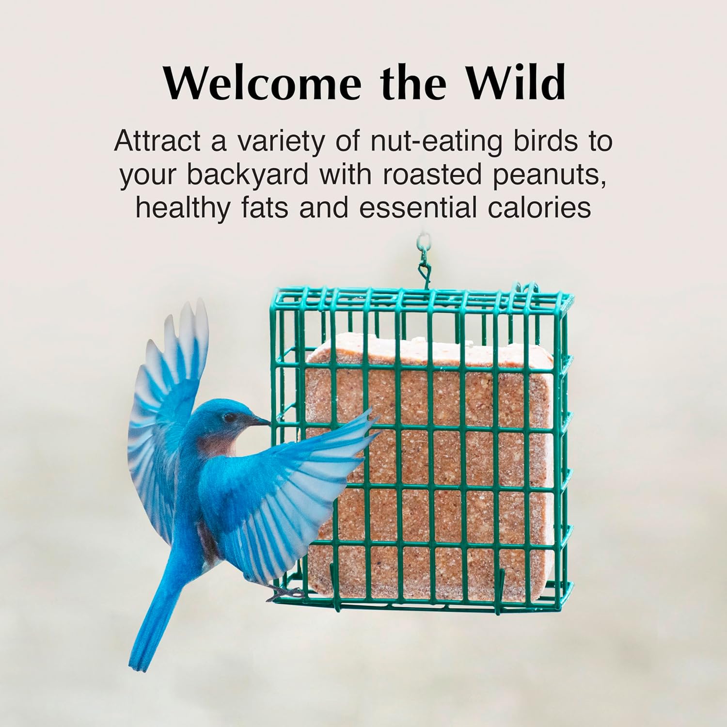 Peanut Suet Cakes