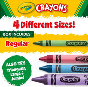 Bulk Crayon Classpack 800 Count