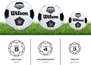 Traditional Soccer Ball