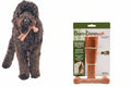 Beef Flavor T-Bone Dog Chew Toy – Large