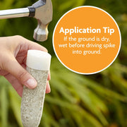 Fruit Tree Food Spikes