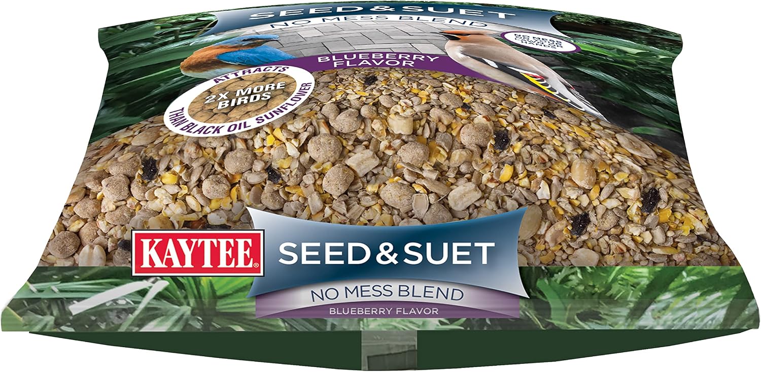 Blueberry Suet Blend