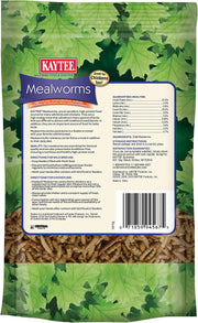 Dried Mealworms