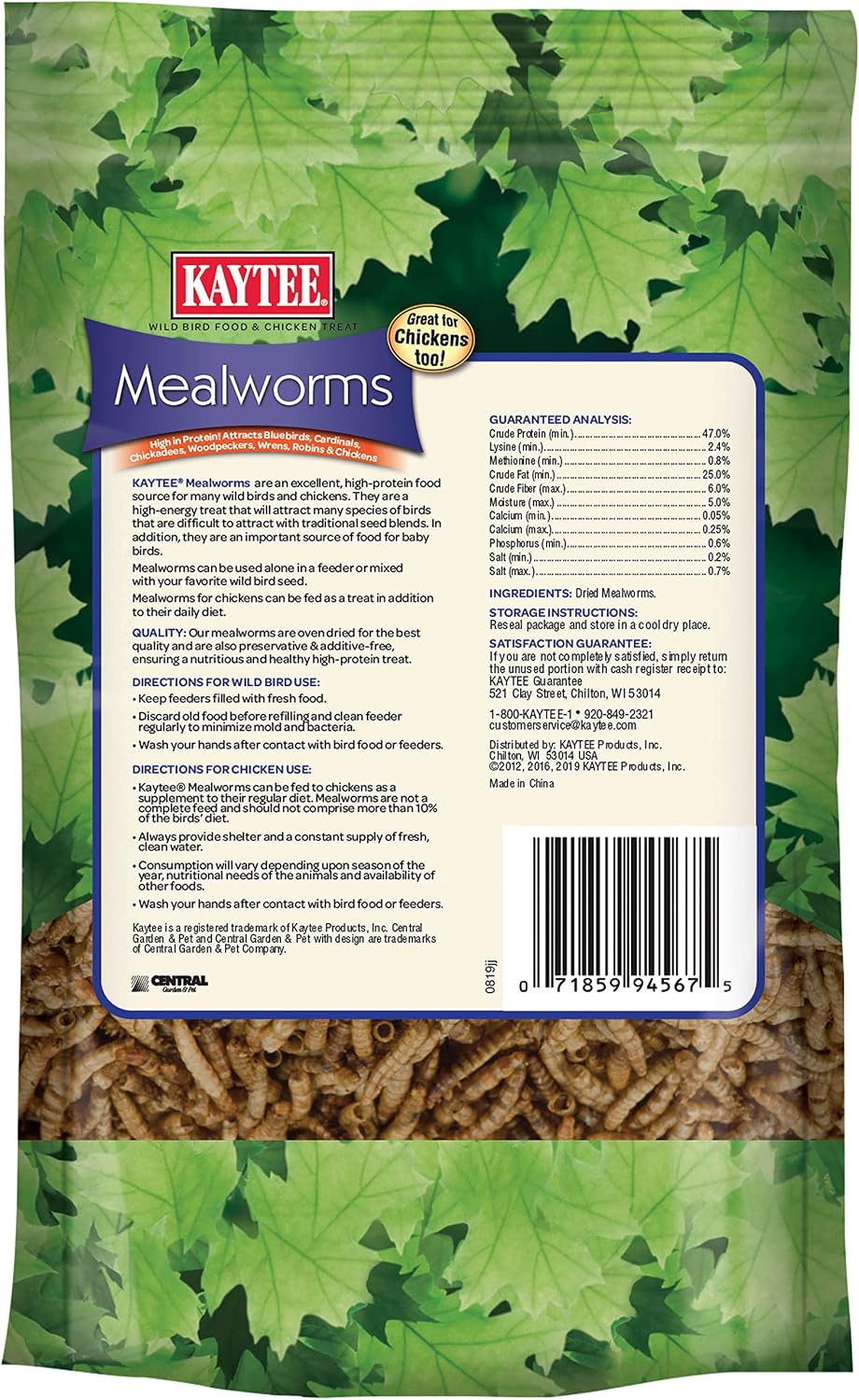 Dried Mealworms