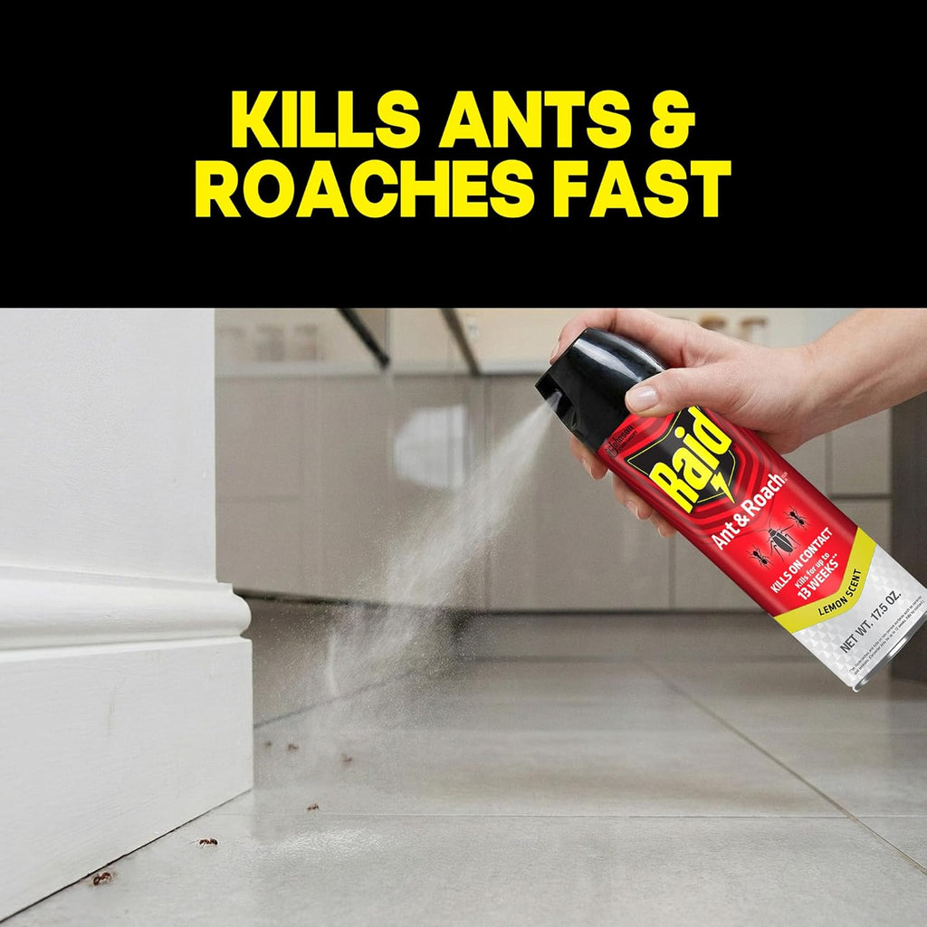 Outdoor Wasp Trap