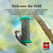 Woodpecker Suet Nuggets
