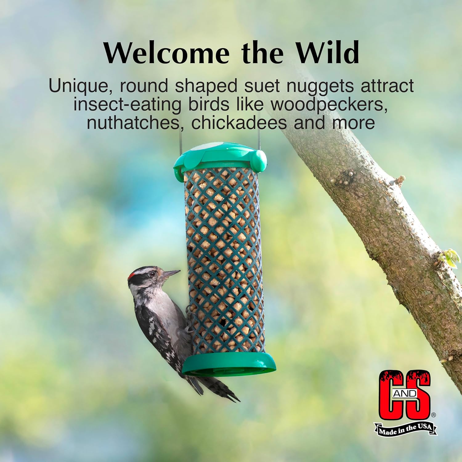 Woodpecker Suet Nuggets