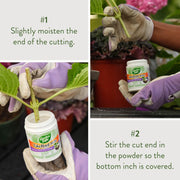 Rooting Hormone Powder