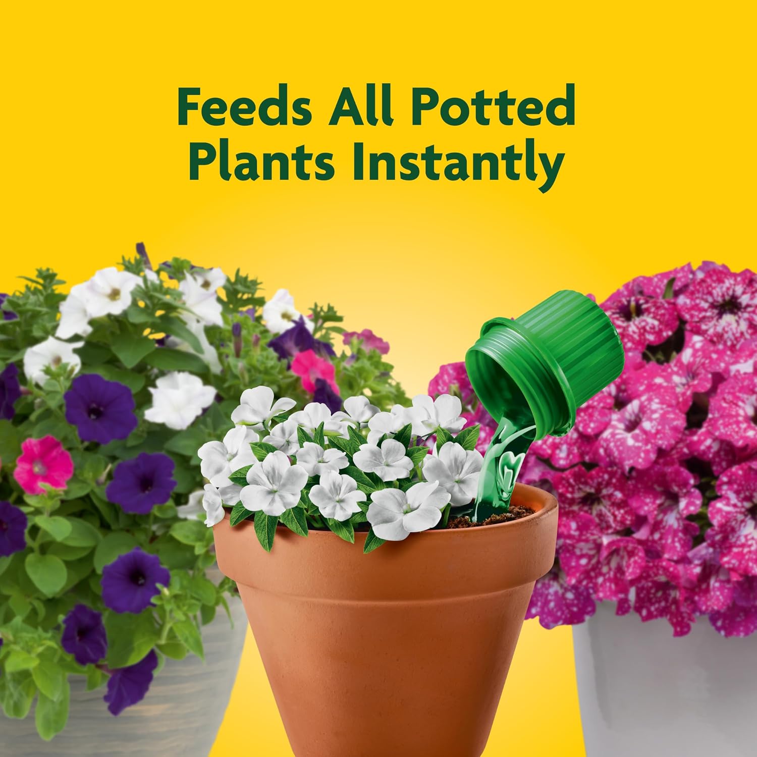 Pour & Feed Plant Food