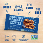 Blueberry Fig Snack Bars