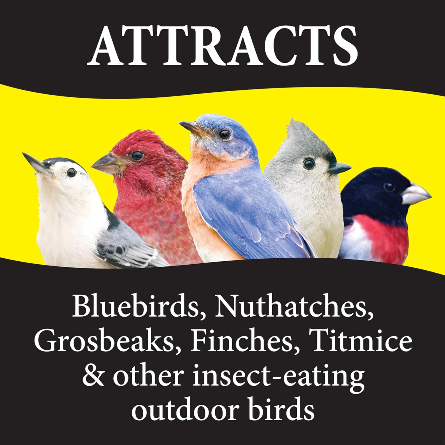 Wild Bird Food Blend