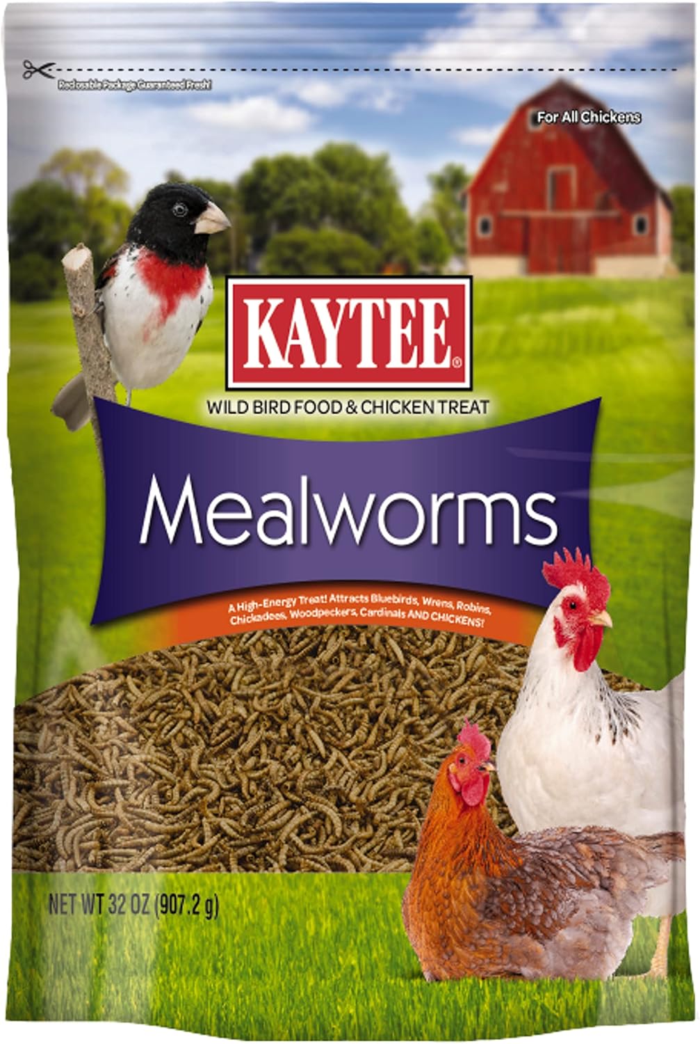 Premium Dried Mealworms