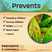 Copper Fungicide Concentrate