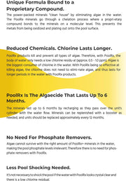 Pool Algae Control