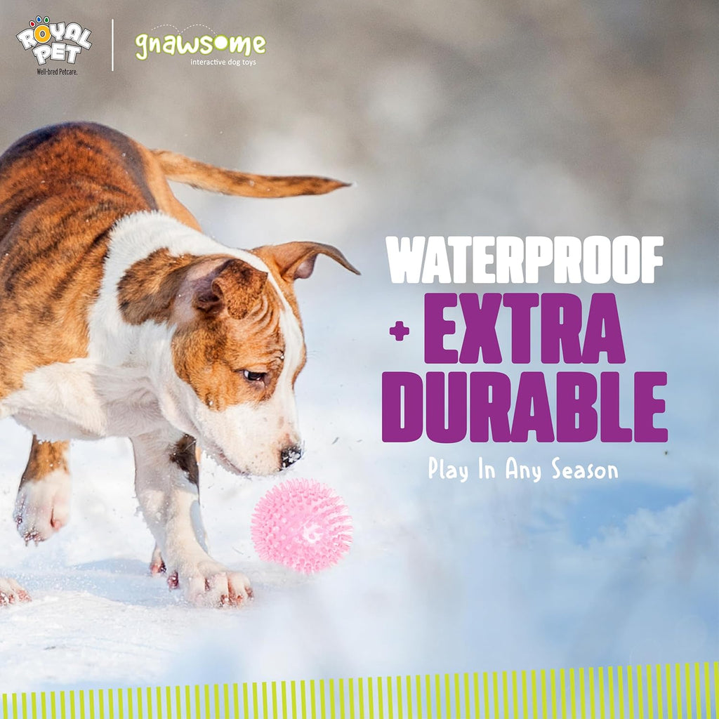 Interactive Squeaker Ball For Dogs